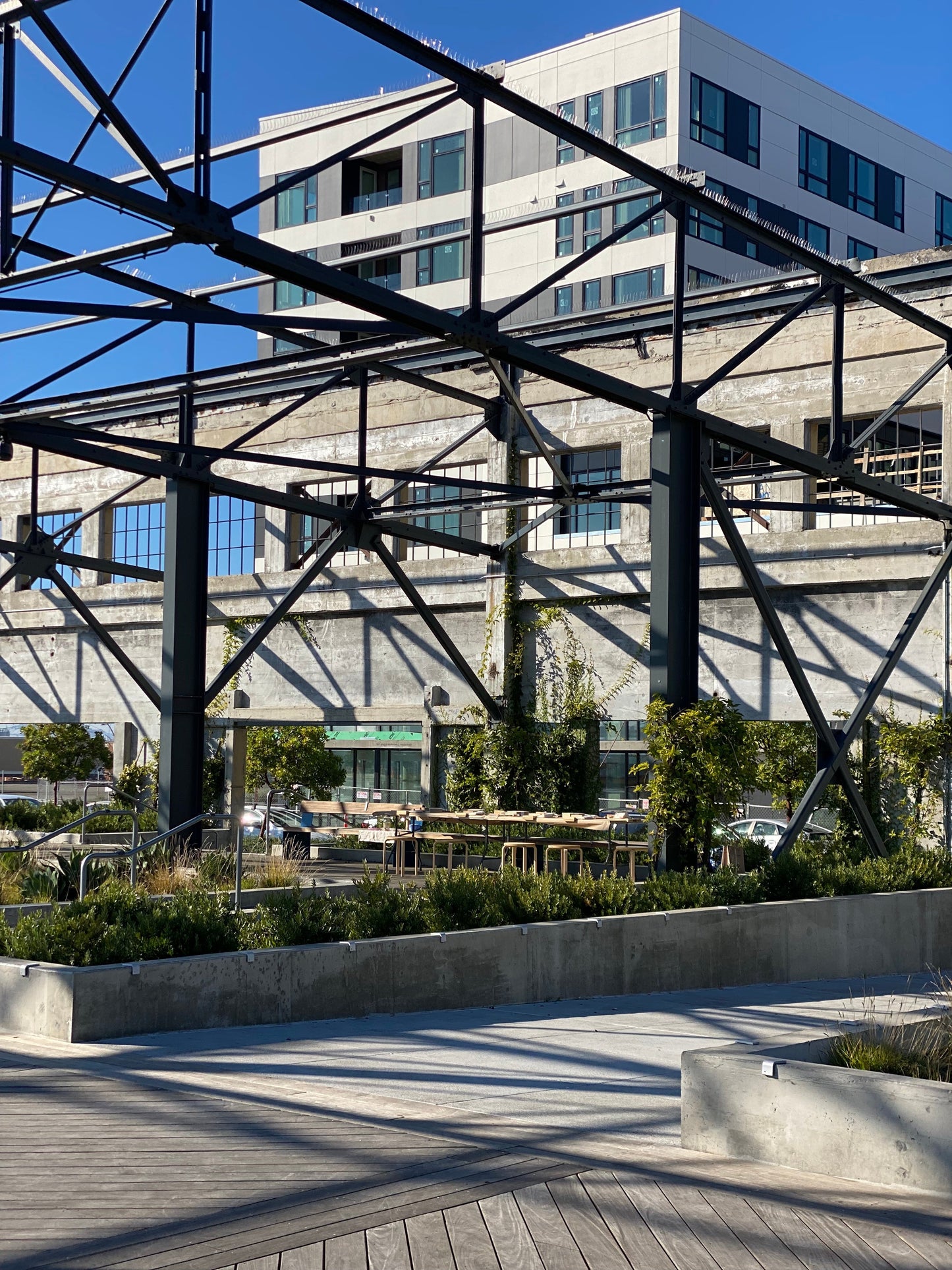 Oakland: Bowl Carving Workshop