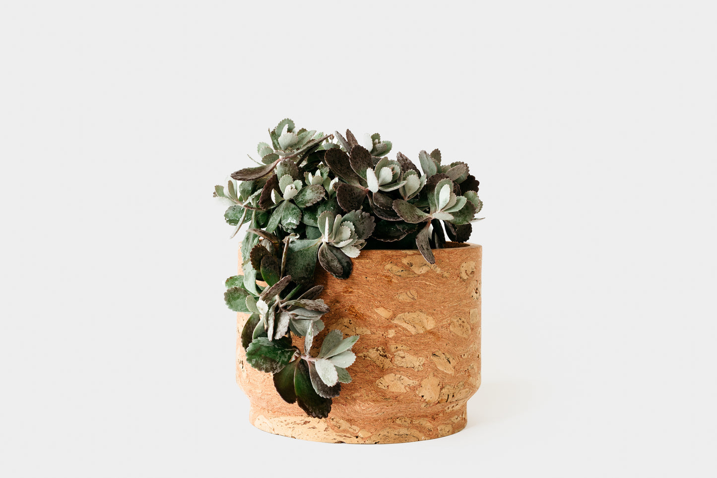 Modern Pink Marbled Cork Planter in Large | Melanie Abrantes Designs