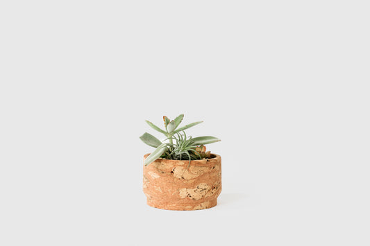 Modern Pink Marbled Cork Planter in Small | Melanie Abrantes Designs