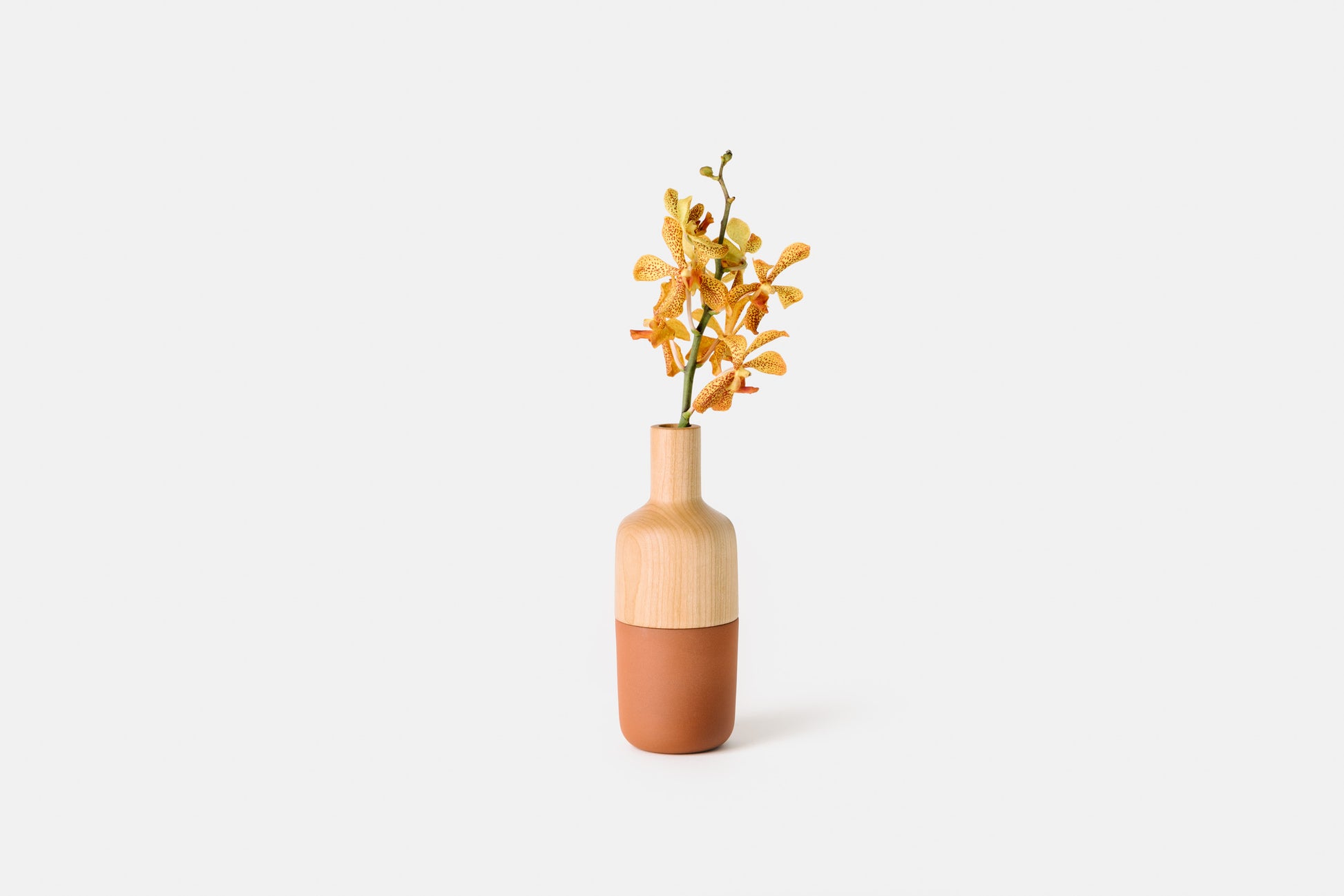 Cherry and terracotta marais vase by Melanie Abrantes Designs.