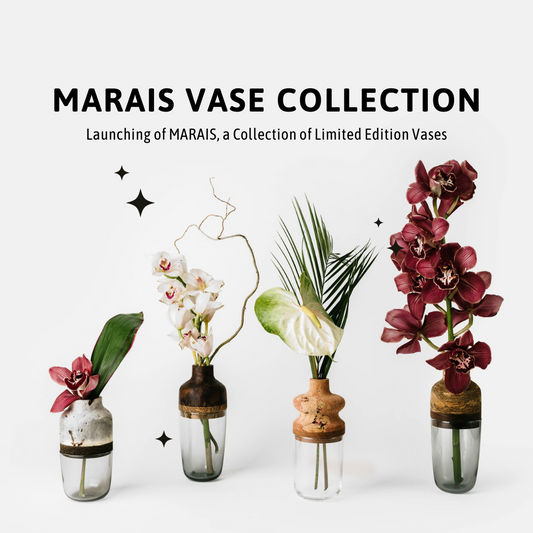 Introducing the Marais Vase Collection