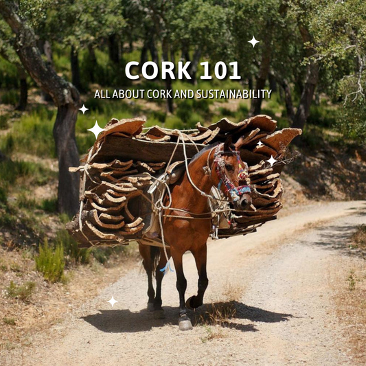 Cork 101