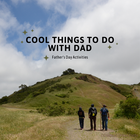 Top 5 Cool Things to do with Dad
