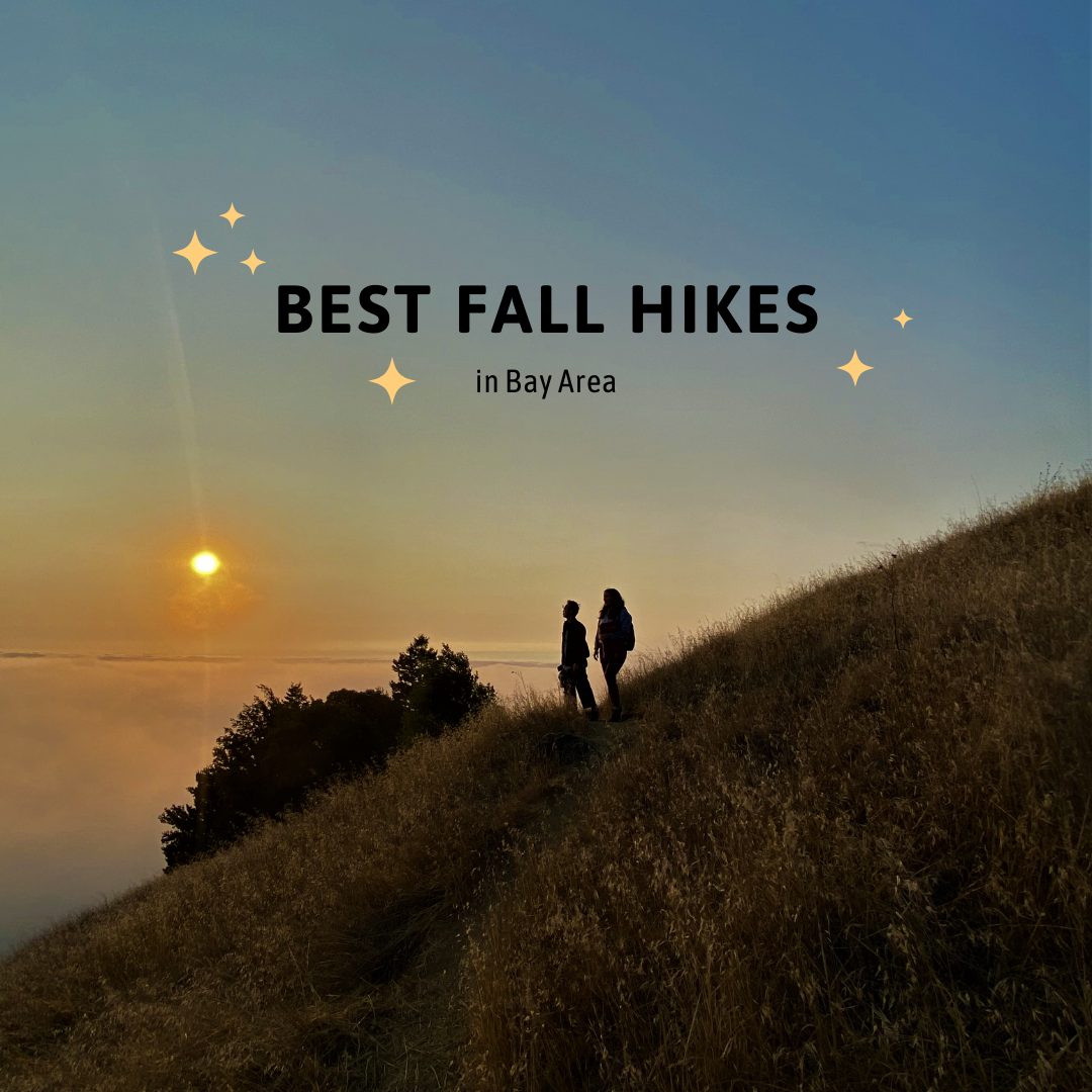 Best Fall Hikes in the Bay Area
