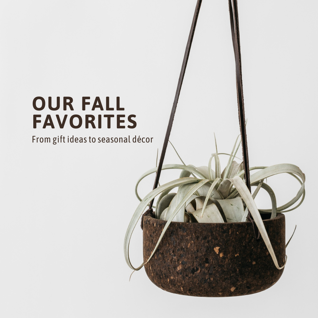 Our Fall Favorites