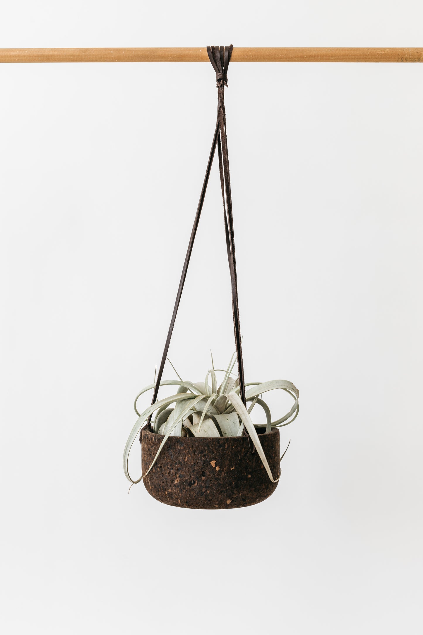 Hanging charcoal cork planter. Hand-turned with a dark brown leather lace. Shown with an air plant inside. By Melanie Abrantes Designs.