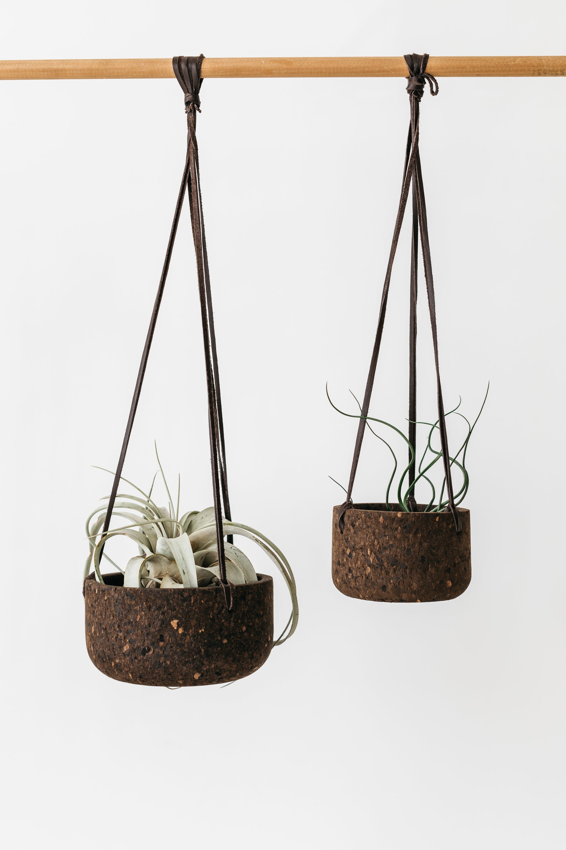 Large and small charcoal cork planters, hanging with air plants. By Melanie Abrantes Designs.