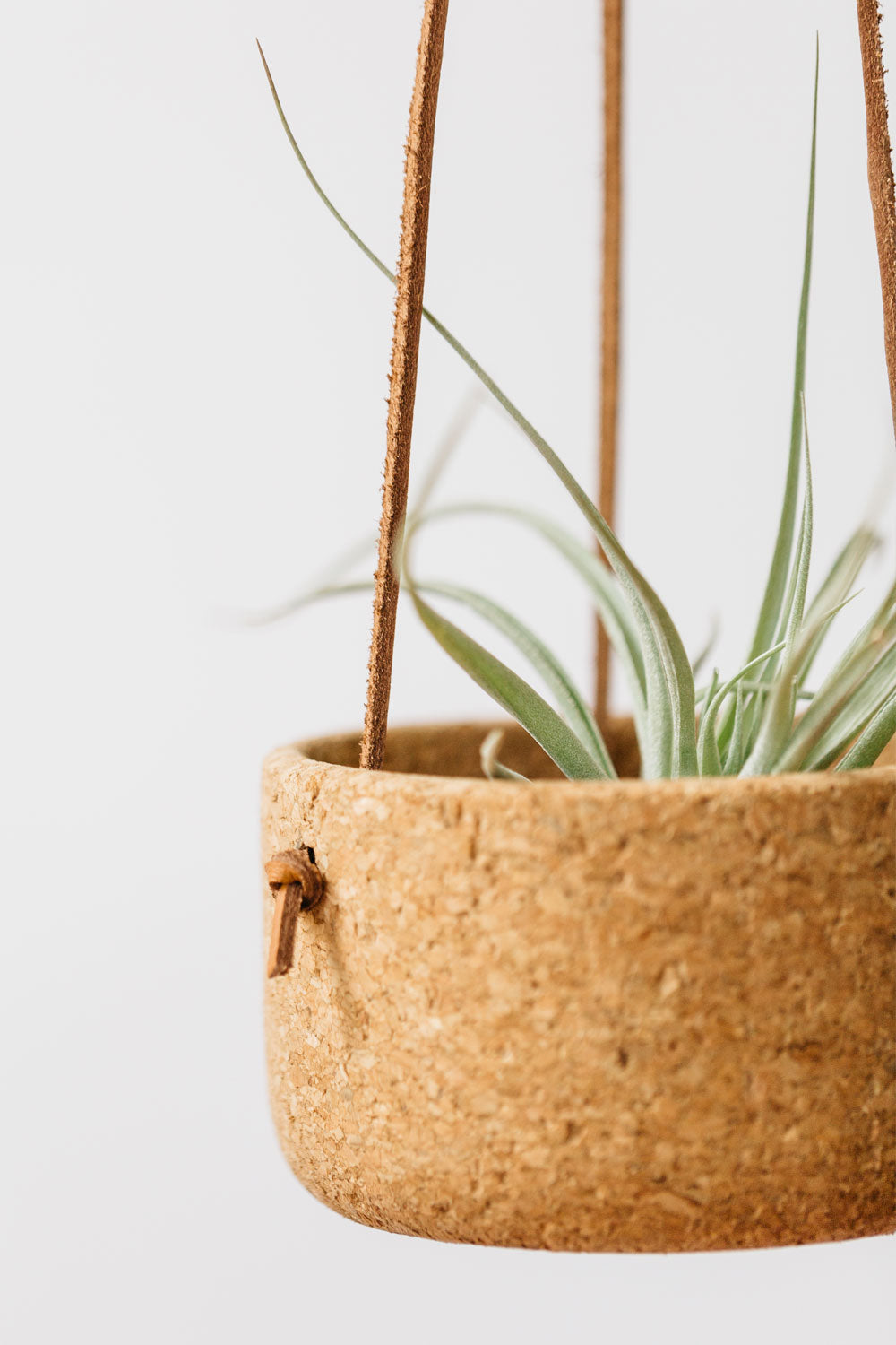 Natural Cork Hanging Planters in Small Size | Melanie Abrantes Designs