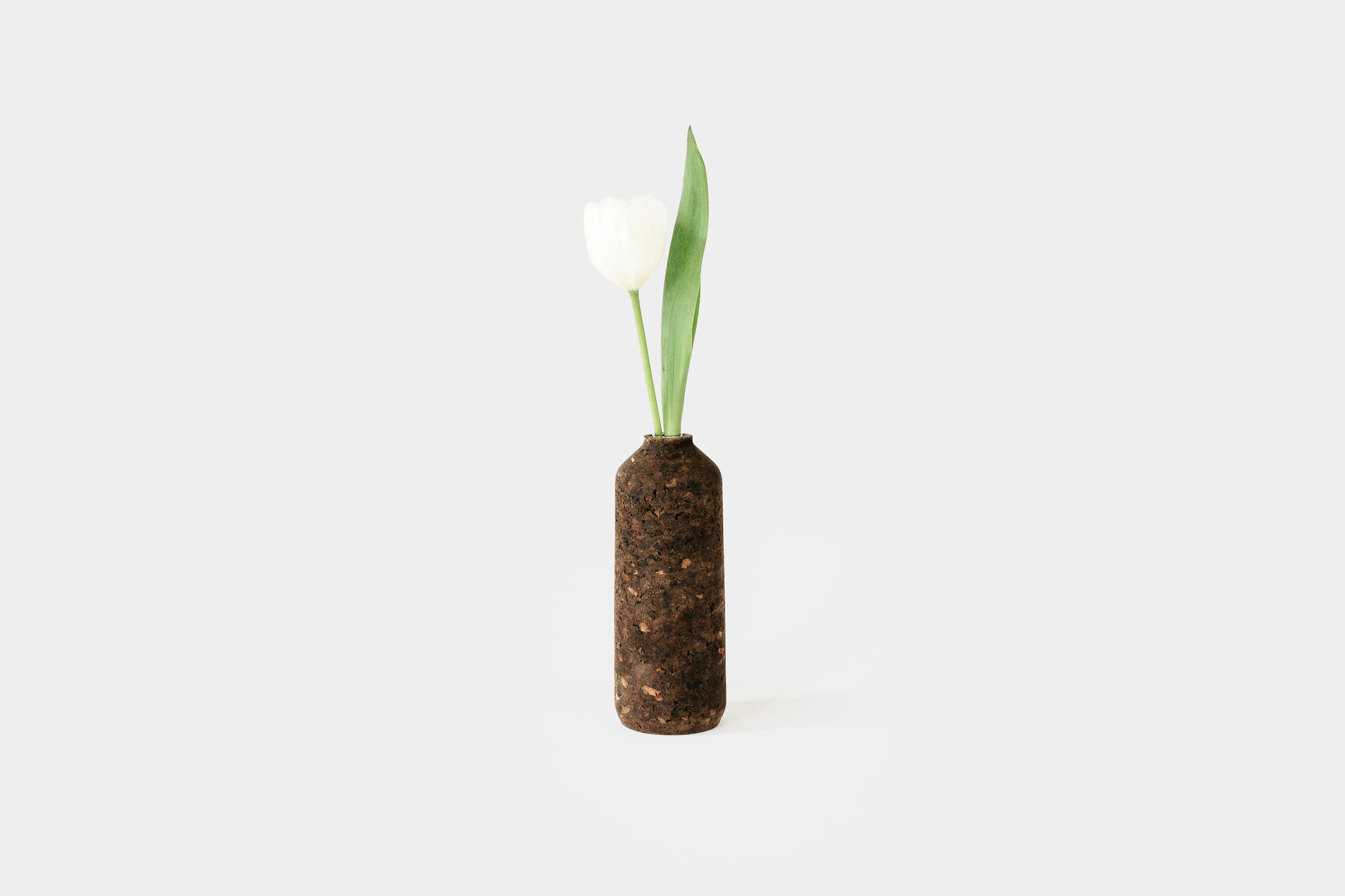 Charcoal cork tall vase, hand- turned with white tulip. By Melanie Abrantes Designs.