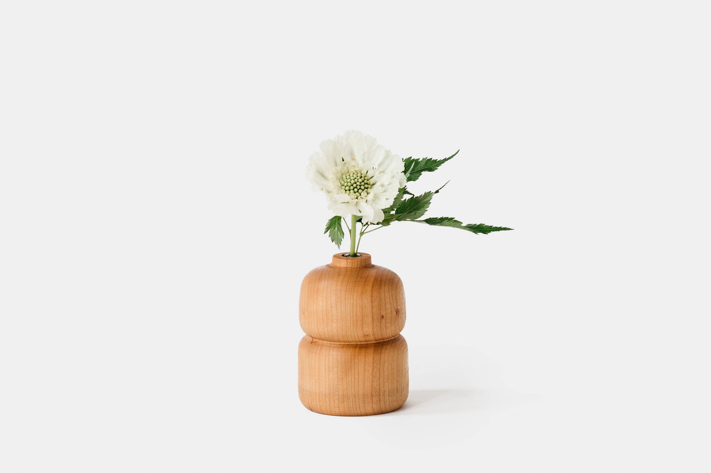 Cherry double bud vase with a white flower. By Melanie Abrantes Designs.