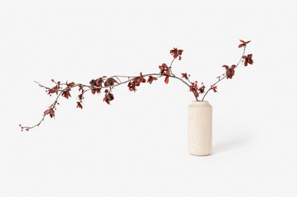 Maple Tall and Wide Vase with Cherry Blossom Branch | Melanie Abrantes Designs