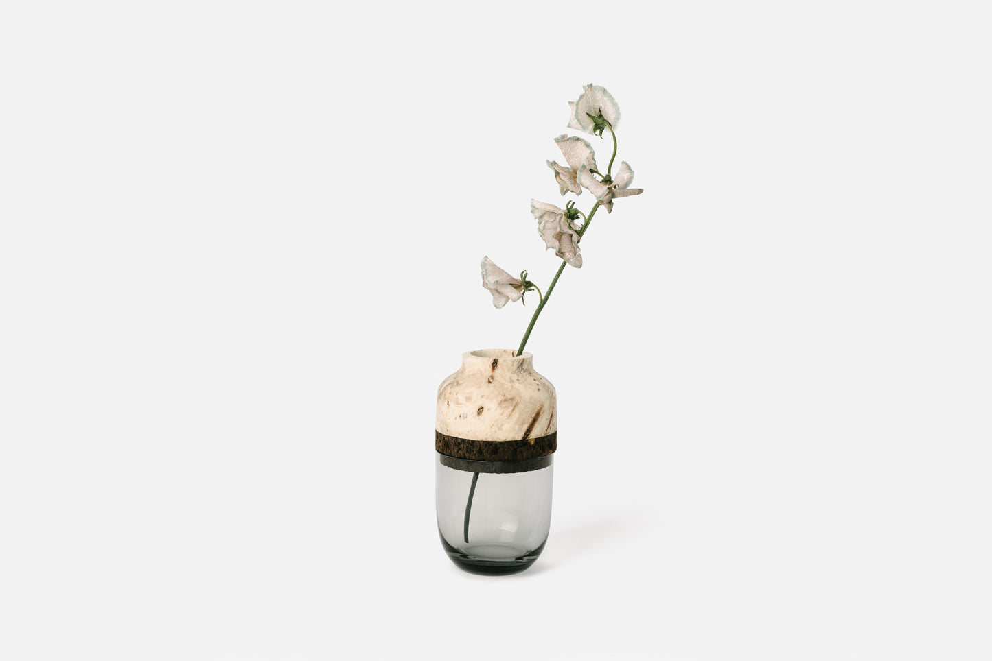 Petit Buckeye, Charcoal Cork and Glass Michelle Marais Vase | Melanie Abrantes Designs