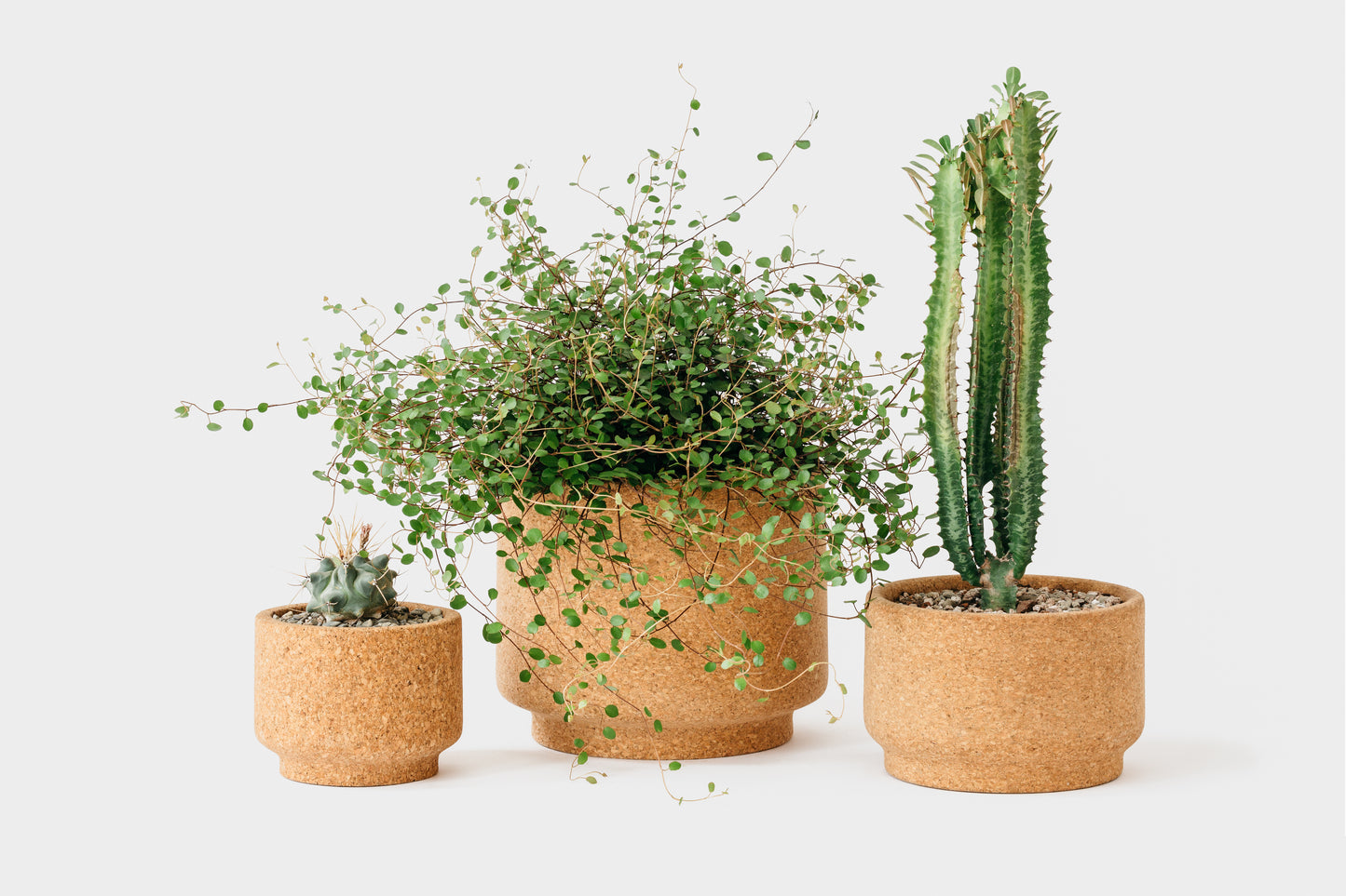 Modern Cork Planters. Left to right: Small, Large, Medium | Melanie Abrantes Designs