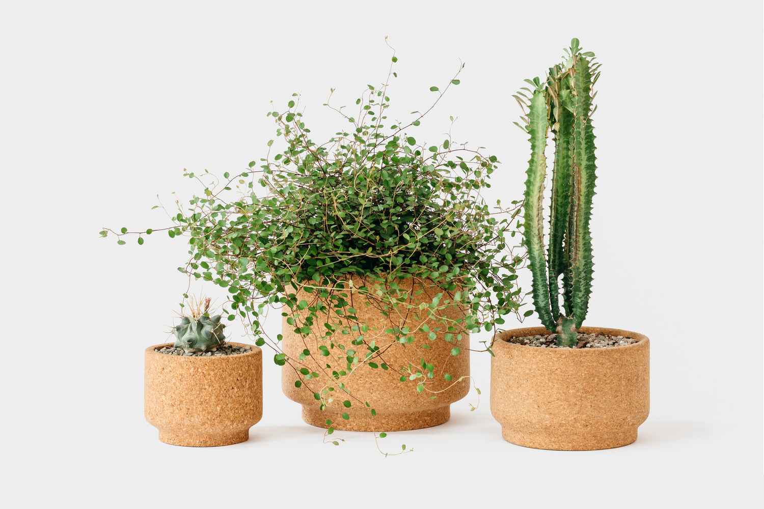 Planters