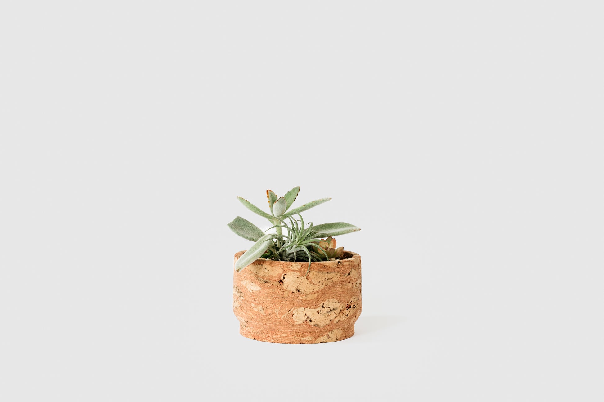 Modern Pink Marbled Cork Planter in Small | Melanie Abrantes Designs