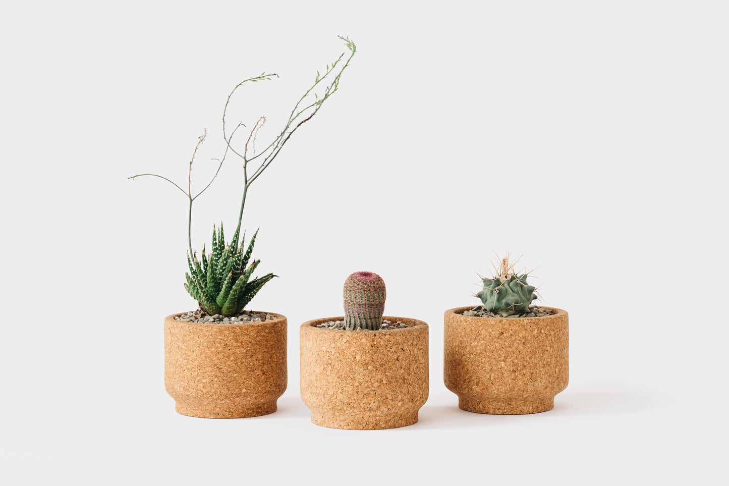 Small Modern Cork Planters | Melanie Abrantes Designs